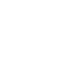 white icon